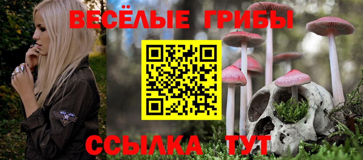 Псилоцибиновые грибы MAGIC MUSHROOMS Хасавюрт