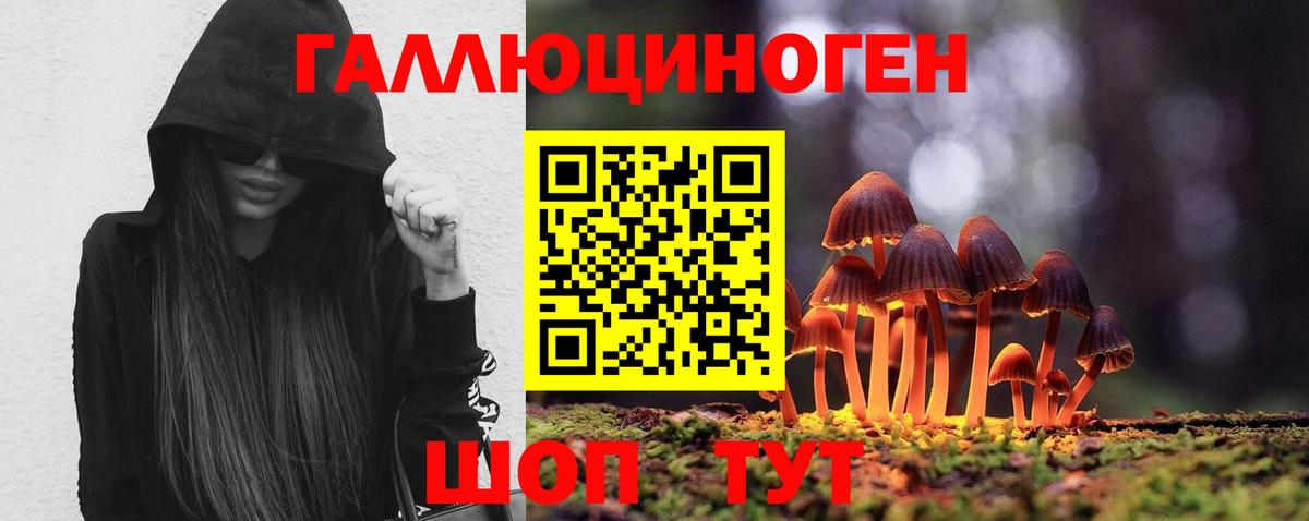 Хасавюрт  Псилоцибиновые грибы мицелий  Вход с VPN  Псилоцибиновые грибы ЛСД 